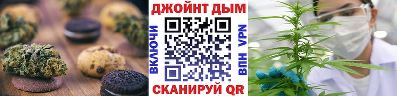 Купить закладки  Спас-Клепики  Cannafood конопля 