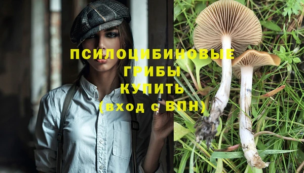 винт Арсеньев