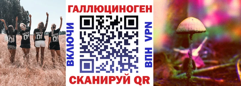Псилоцибиновые грибы прущие грибы  Купить  Спас-Клепики 